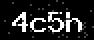 verify code