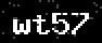 verify code