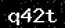 verify code