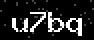 verify code