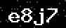verify code