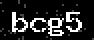 verify code