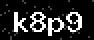 verify code