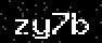 verify code
