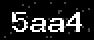 verify code
