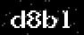 verify code
