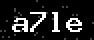 verify code